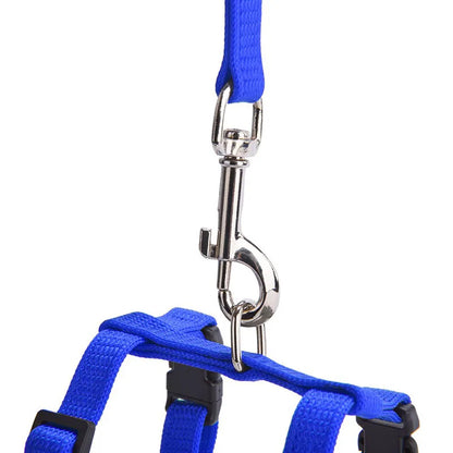 Pet Cat Harness and Leash Set