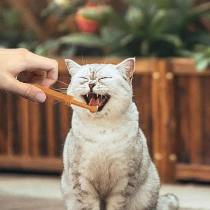 Pet Dogs Toothbrush