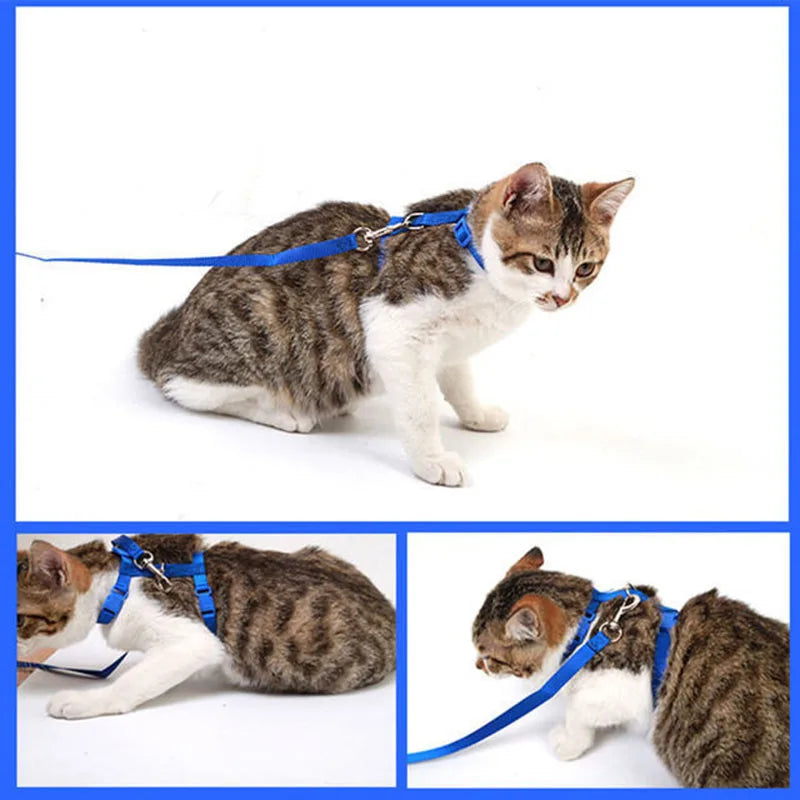 Pet Cat Harness and Leash Set