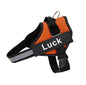 Dog Harness Adjustable Pet Vest