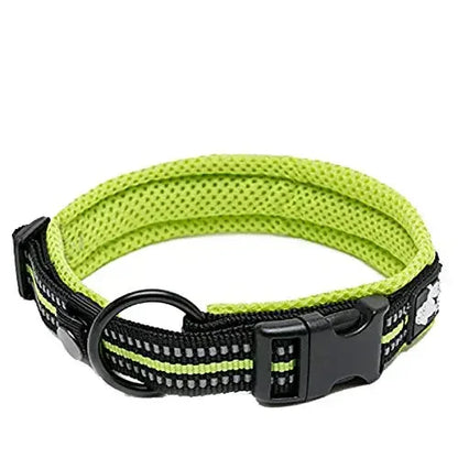 Collar Nylon Adjustable Webbing