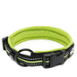 Collar Nylon Adjustable Webbing