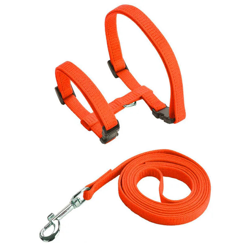 Pet Cat Harness and Leash Set