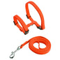 Pet Cat Harness and Leash Set