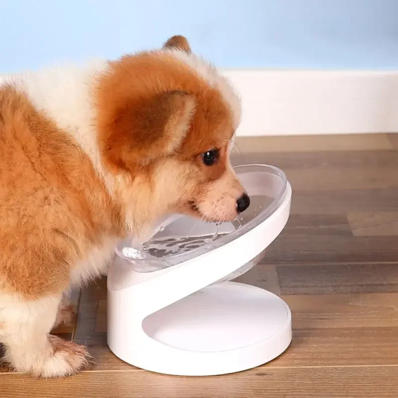 Pet Bowl High Foot Raised Feeders