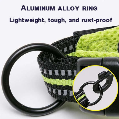 Comfort Padded Dog Collar