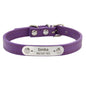 Personalized Dog Collar