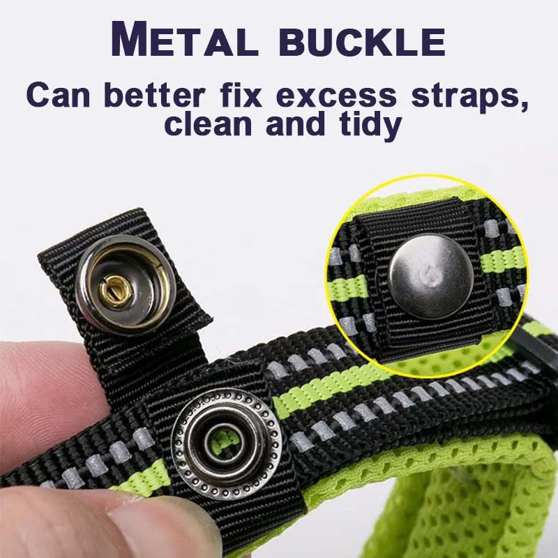 Comfort Padded Dog Collar