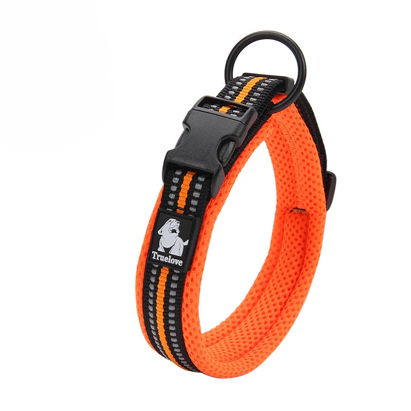 Comfort Padded Dog Collar