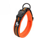 Comfort Padded Dog Collar