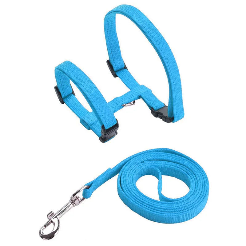 Pet Cat Harness and Leash Set