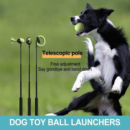 Dog Toys Throwing Pole Pet Throwing Stick