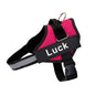 Dog Harness Adjustable Pet Vest