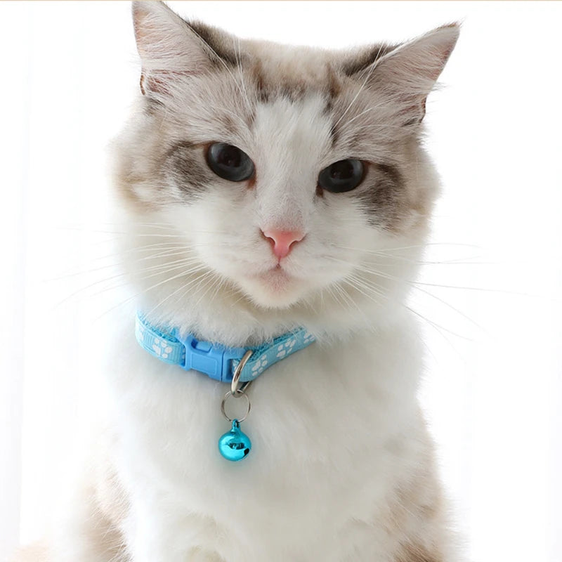 Pet Cat Collar with Bell