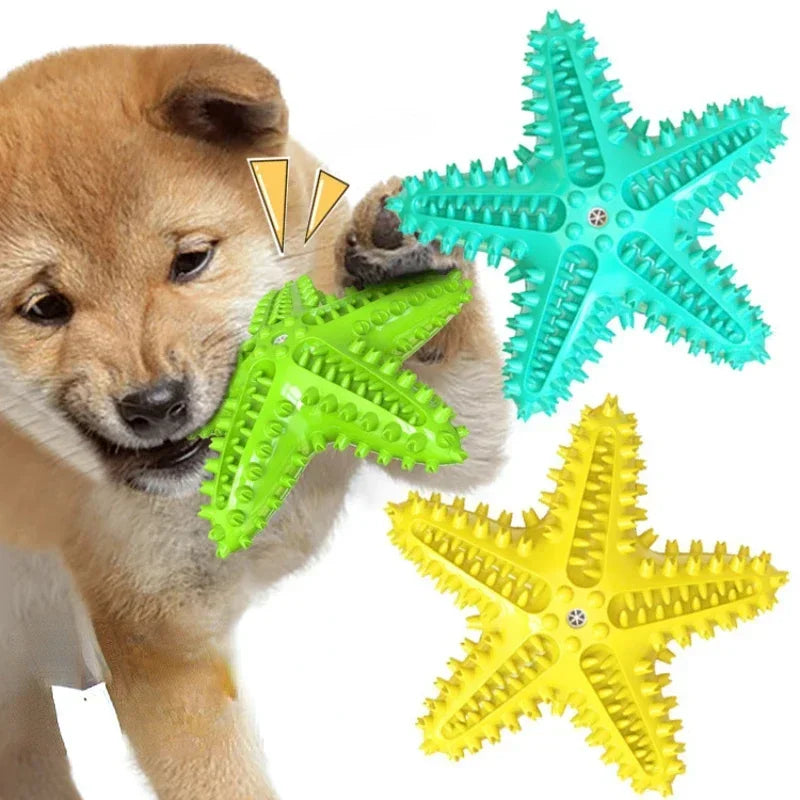Starfish Dog Toy for tooth cleaning