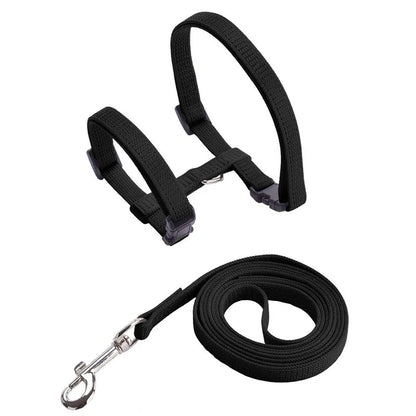 Pet Cat Harness and Leash Set
