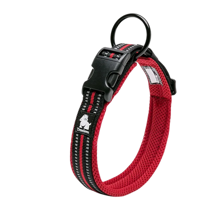Comfort Padded Dog Collar