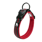 Comfort Padded Dog Collar