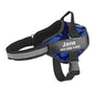 Dog Harness Adjustable Pet Vest