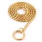 Dog Collar Snake Chain Coppers