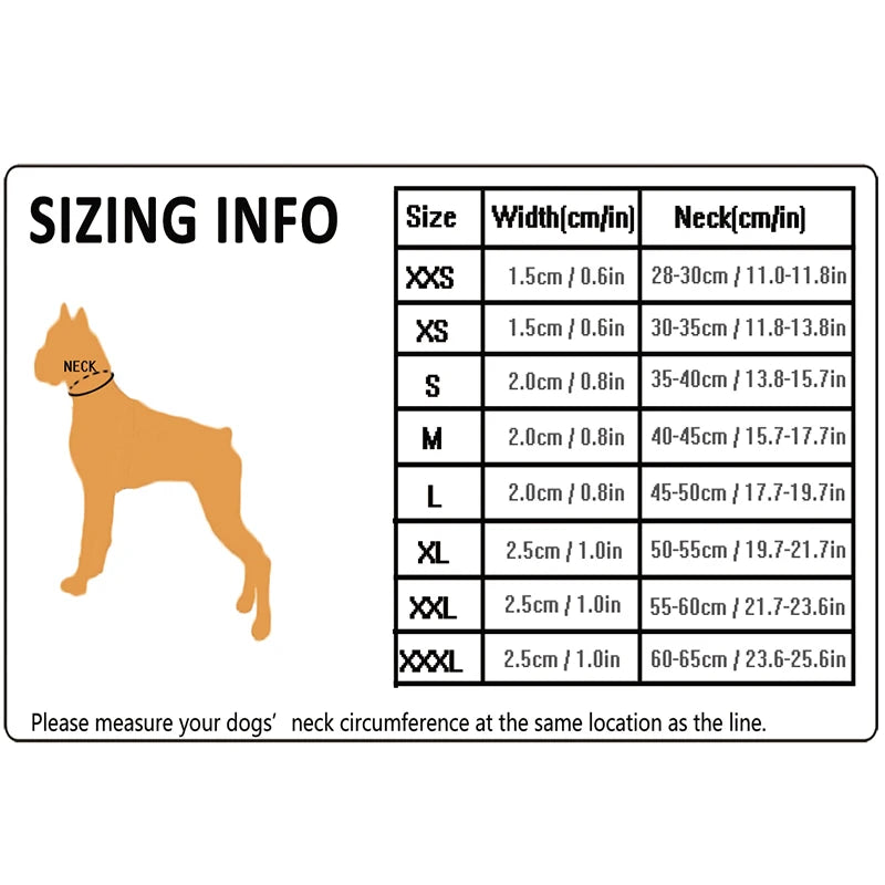 Comfort Padded Dog Collar