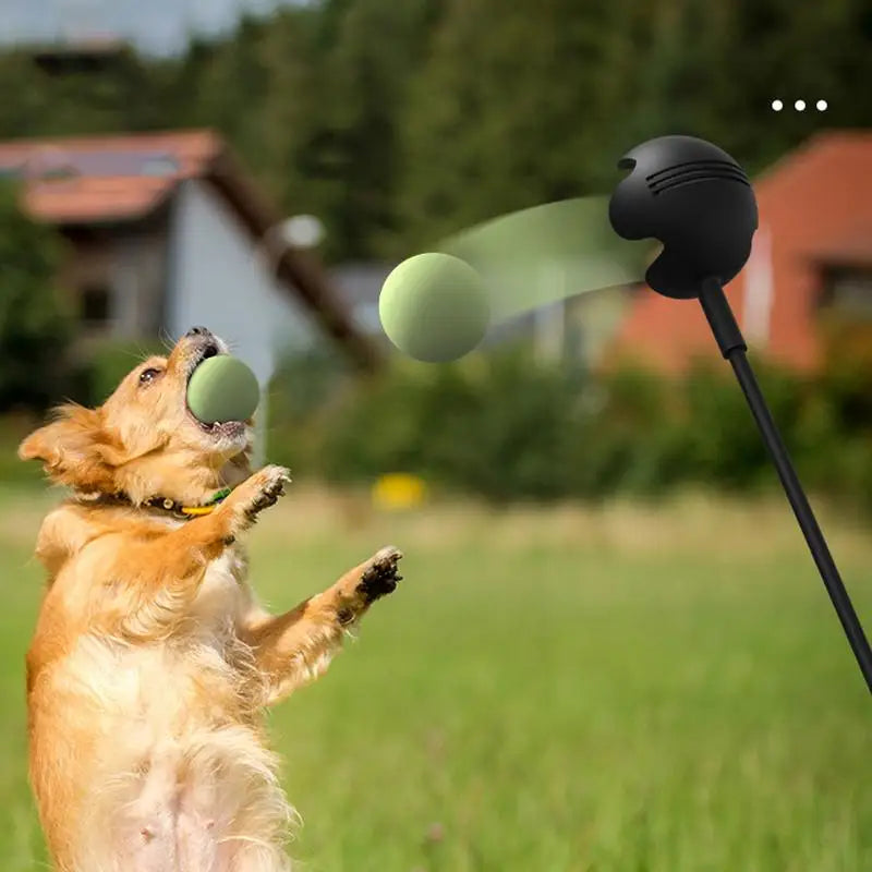 Dog Toys Throwing Pole Pet Throwing Stick
