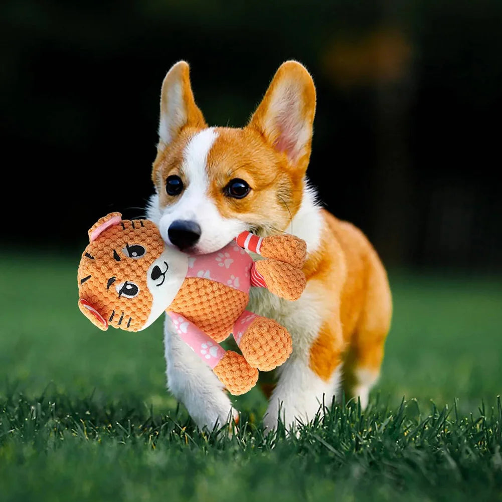 Squeaky Dog Toys